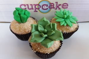 cupcakes-florianopolis-cupcakecia-modelos-3d-37