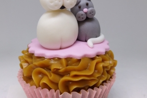 cupcakes-florianopolis-cupcakecia-modelos-3d-8